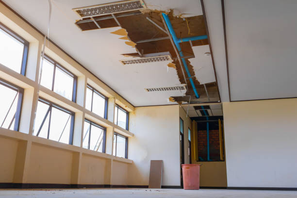 Best Water damage cleanup near me  in Ten Mile Run, NJ