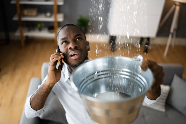 Best Ceiling water damage repair  in Ten Mile Run, NJ