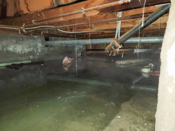  Ten Mile Run, NJ Water damage restoration Pros