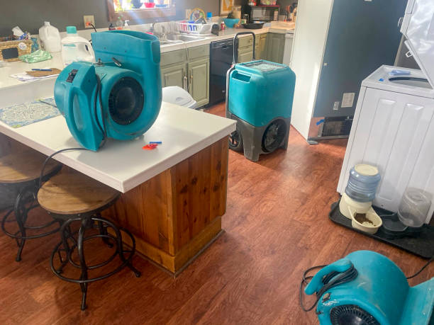 Best Commercial water damage restoration  in Ten Mile Run, NJ