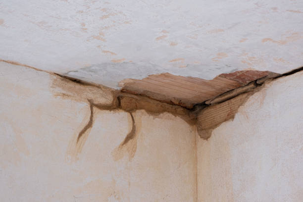 Best Flooded house restoration  in Ten Mile Run, NJ