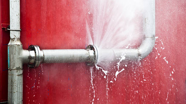 Best Flood restoration services  in Ten Mile Run, NJ